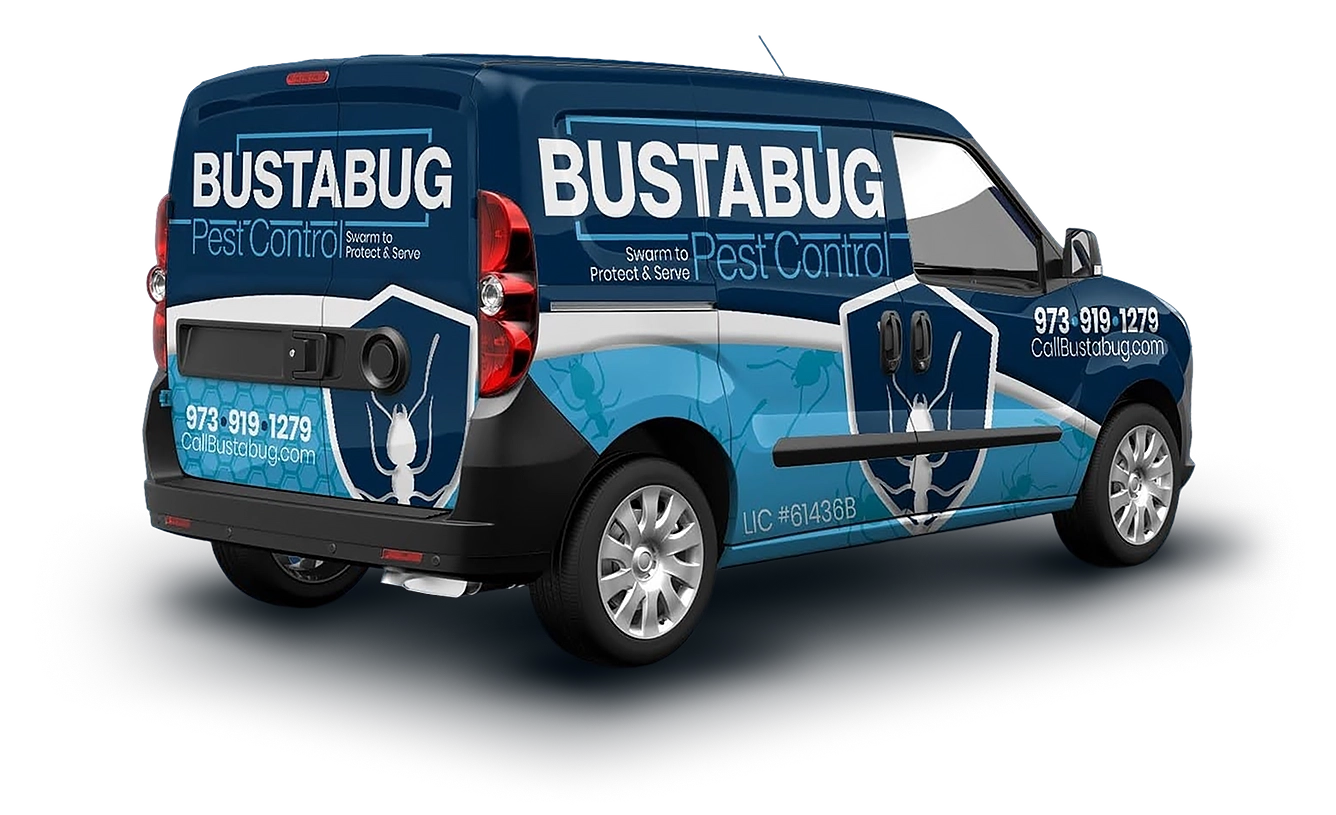 The Bustabug company van